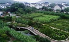  蘇州積極推進農(nóng)村生活污水治理