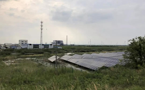 江蘇海安市違規(guī)撤銷沿海防護(hù)林和灘涂縣級自然保護(hù)區(qū)實施開發(fā)建設(shè)